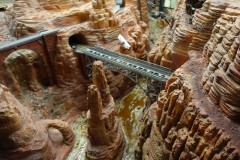 DSC01401