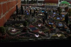DSC01475