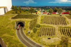 IMG_20170214_112052